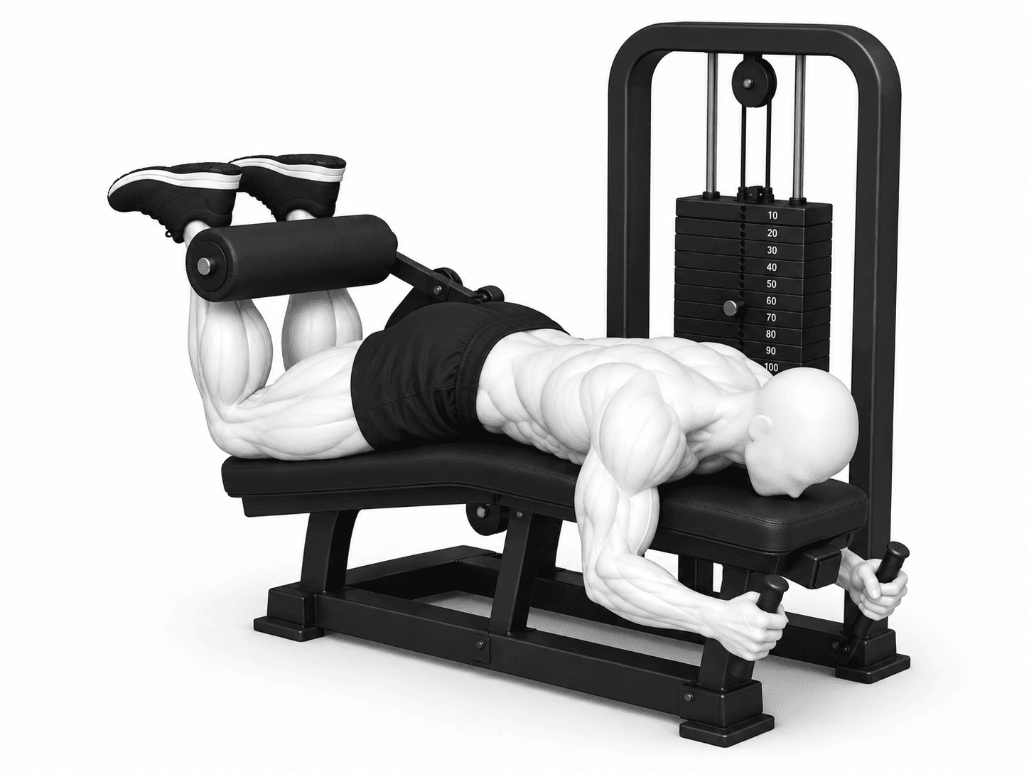 Illustration de l'exercice : Leg curl (ischio-jambiers)