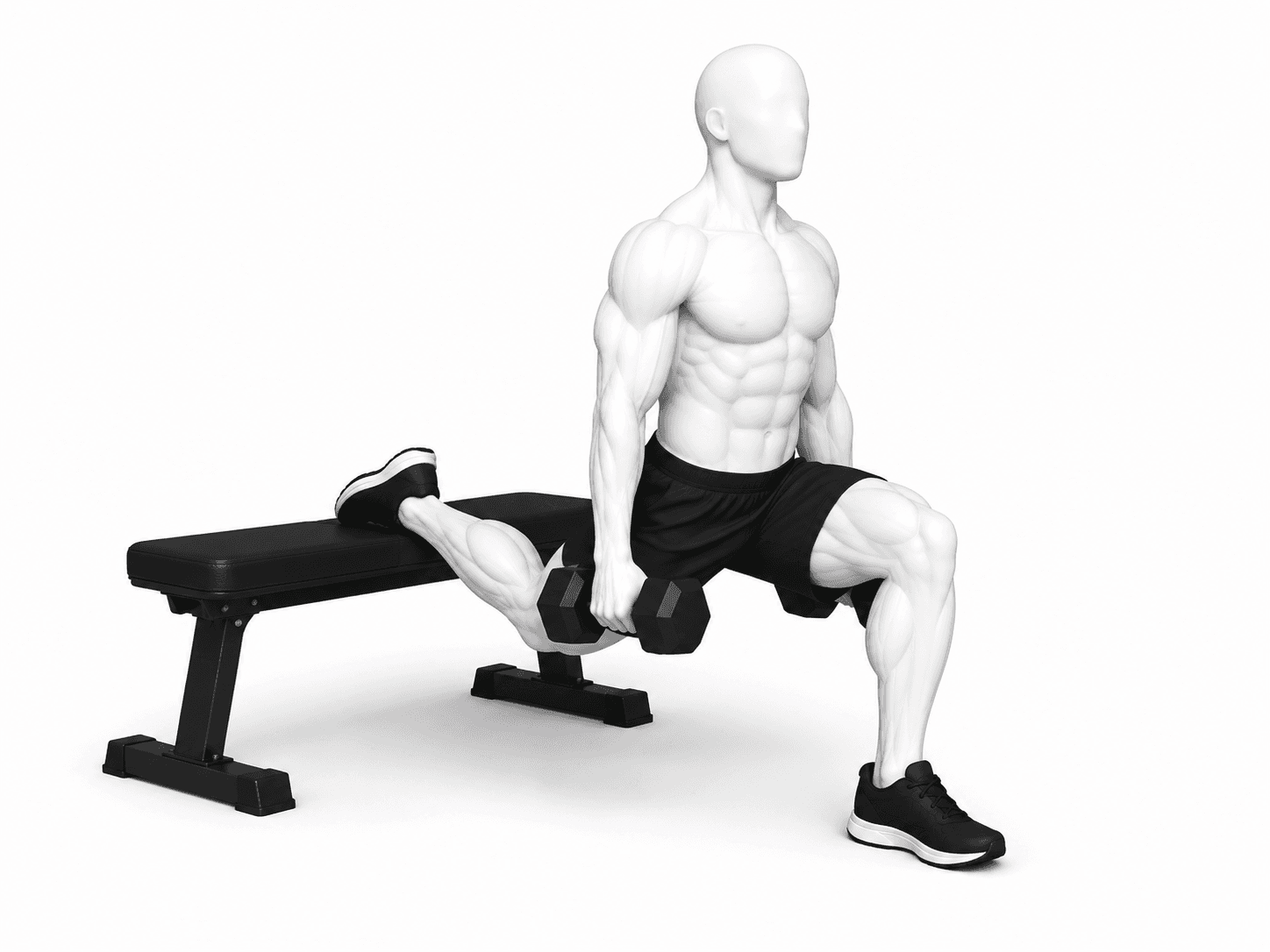 Illustration de l'exercice : Squat bulgare